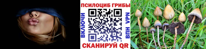 Галлюциногенные грибы MAGIC MUSHROOMS  Заозёрск 